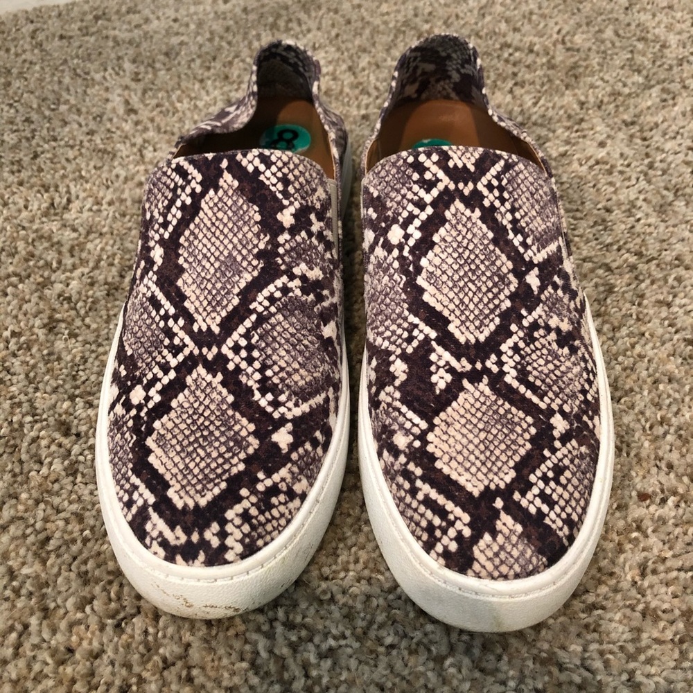 Steve Madden Snakeskin Sneaker